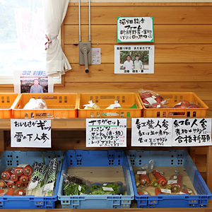 なんぶふるさと物産館　店内